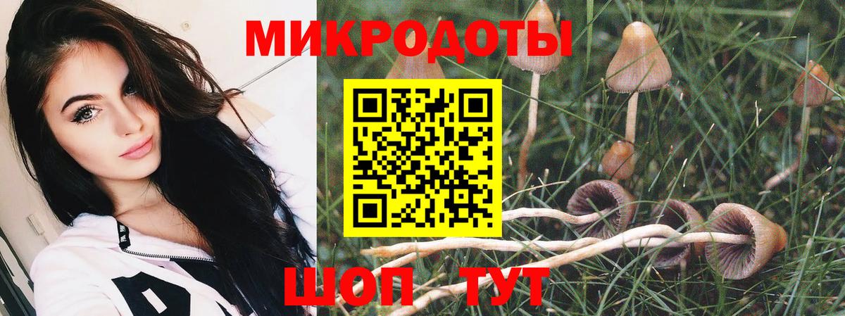 Псилоцибиновые грибы Magic Shrooms  Вход с VPN  купить  цена  Балашов 