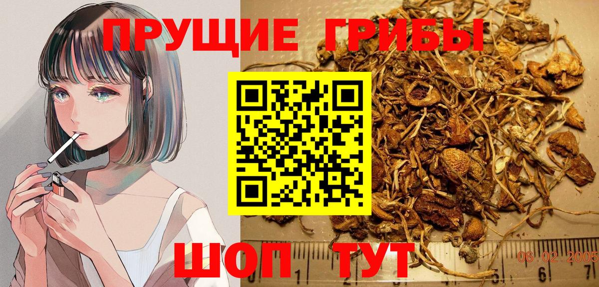 Галлюциногенные грибы мухоморы Балашов